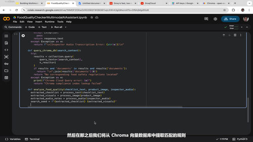 多模态AI与RAG实战：从零搭建三种智能助手 (英文课程中文字幕)