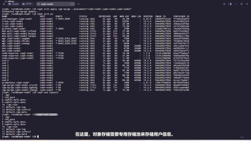掌握Ceph存储集群：从零搭建到生产级运维 (英文课程中文字幕)