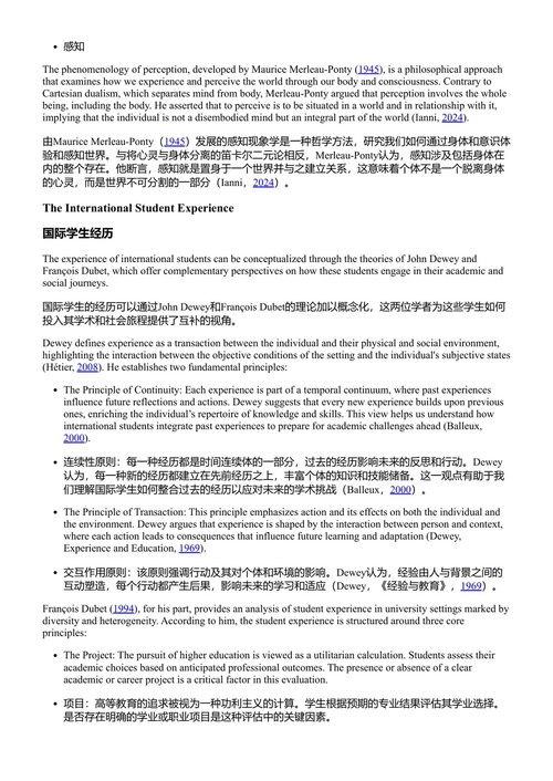人工智能、学术诚信与高等教育国际化：在创新与伦理之间前行 艾查·阿杜伊 (中英对照电子书)