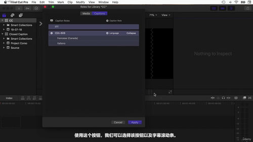 Final Cut Pro从入门到精通:完整视频剪辑实战课程 (英文课程中文字幕)