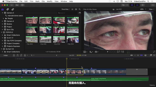 Final Cut Pro从入门到精通:完整视频剪辑实战课程 (英文课程中文字幕)