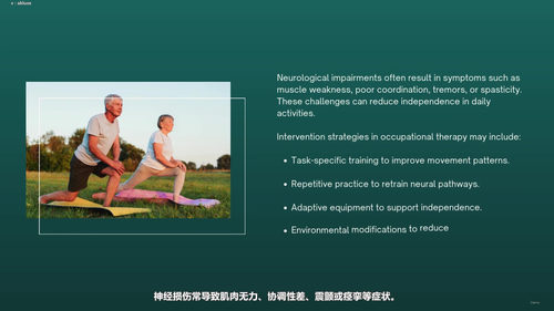 职业治疗入门：六大核心模块带你走进这门温暖的专业 (英文课程中文字幕)