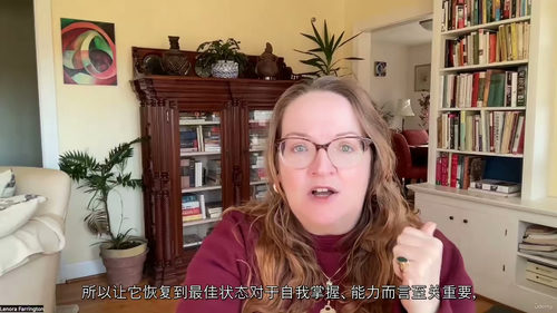 重塑大脑：脑外伤与脑震荡康复指南（中文字幕英文视频教程）