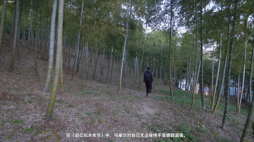 法国文学五大家：从福楼拜到加缪的文学之旅 (英文课程中文字幕)