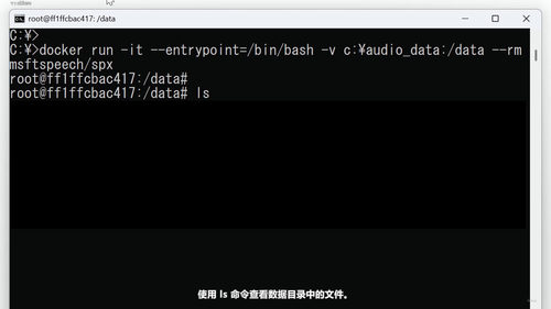 语音服务实战：用Docker容器快速上手语音转文本与文本转语音 (英文课程中文字幕)