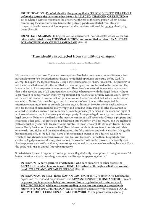 稻草人：你的虚构人格的真相 克林特·理查森 (英文电子书)
