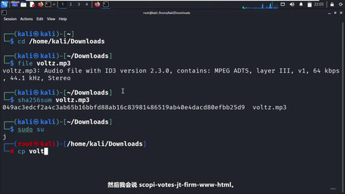 Linux入门：从零开始走进开源世界 (英文课程中文字幕)
