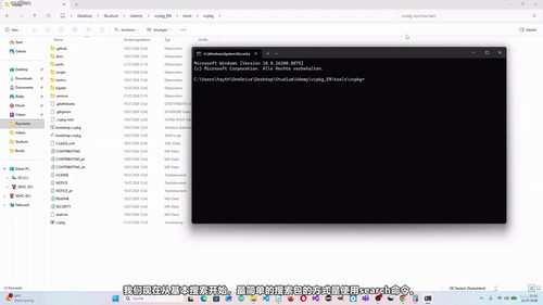 掌握vcpkg：微软C与C++包管理器完全指南 (英文课程中文字幕)