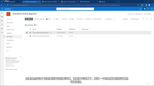 SharePoint Online实战精讲：从新手到高手 (英文课程中文字幕)