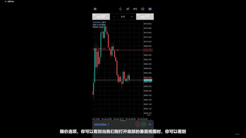 职业交易高手必修课：黄金策略精讲 (英文课程中文字幕)
