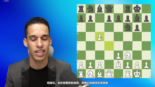 先发制人：国际象棋初学者的战斗性石墙进攻指南 (英文课程中文字幕)