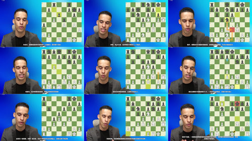 先发制人：国际象棋初学者的战斗性石墙进攻指南 (英文课程中文字幕)