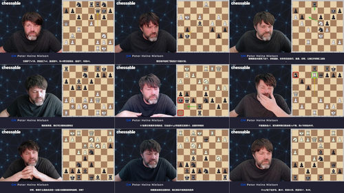 局面弈法进阶：跟GM彼得·海涅·尼尔森练就国际象棋位置战直觉 (英文课程中文字幕)