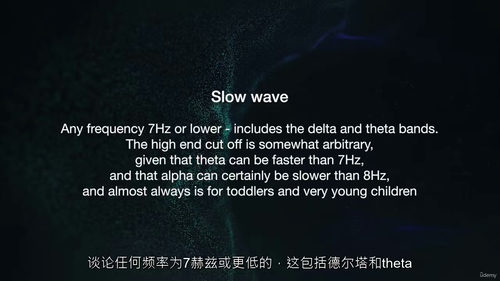 原始脑电图分析（第二部分）课程（中文字幕英文视频教程）