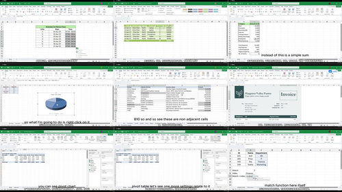 Excel 从入门到精通：实战项目全攻略 (英文课程中文字幕)