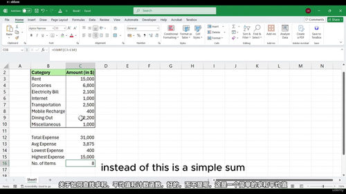 Excel 从入门到精通：实战项目全攻略 (英文课程中文字幕)