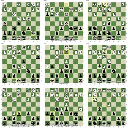 尚克兰教你卡罗康防御：从支线到主线的完整武器库 (英文课程中文字幕)