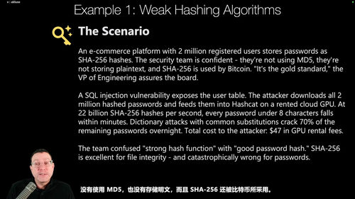 Python Web安全实战：从OWASP漏洞剖析到AI智能体代码审计 (英文课程中文字幕)