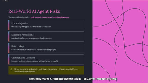 AI安全实战：从底层架构到防护护栏的系统学习 (英文课程中文字幕)