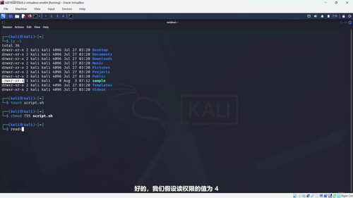 实战渗透测试训练营：从零开始的道德黑客入门课 (英文课程中文字幕)