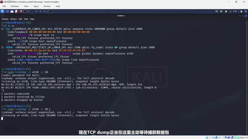 实战渗透测试训练营：从零开始的道德黑客入门课 (英文课程中文字幕)