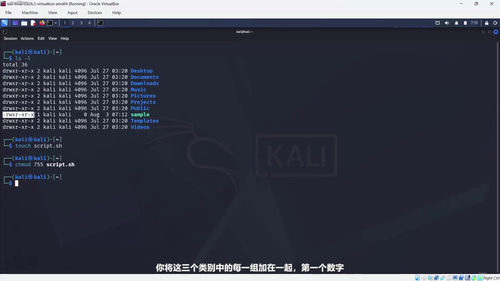 实战渗透测试训练营：从零开始的道德黑客入门课 (英文课程中文字幕)