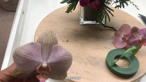 轻松学花艺设计：从基础到专业插花技艺 (英文课程中文字幕)