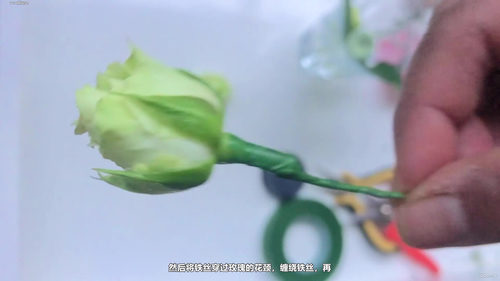 轻松学花艺设计：从基础到专业插花技艺 (英文课程中文字幕)