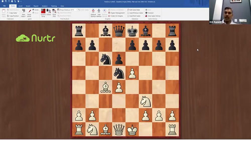 特级大师拉梅什的52周棋艺修炼课 (英文课程中文字幕)