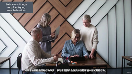 非营利项目设计与逻辑模型开发 (英文课程中文字幕)
