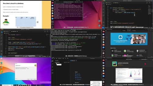 Python与PostgreSQL实战:手把手搭建带数据库的桌面应用 (英文课程中文字幕)