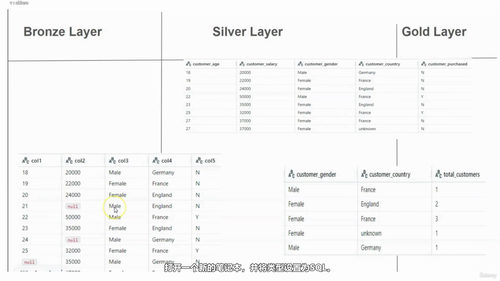 Spark与Databricks数据工程实战课 (英文课程中文字幕)