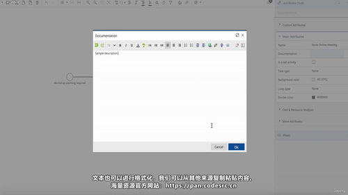 流程建模与流程挖掘全能精通实战课：从入门到认证完整通关 (英文课程中文字幕)