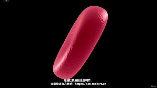 筋膜枪打击理疗系统课程 (英文课程中文字幕)