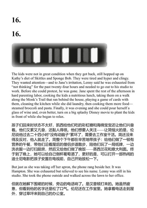 彩色电视 丹兹·塞纳 (中英对照电子书)