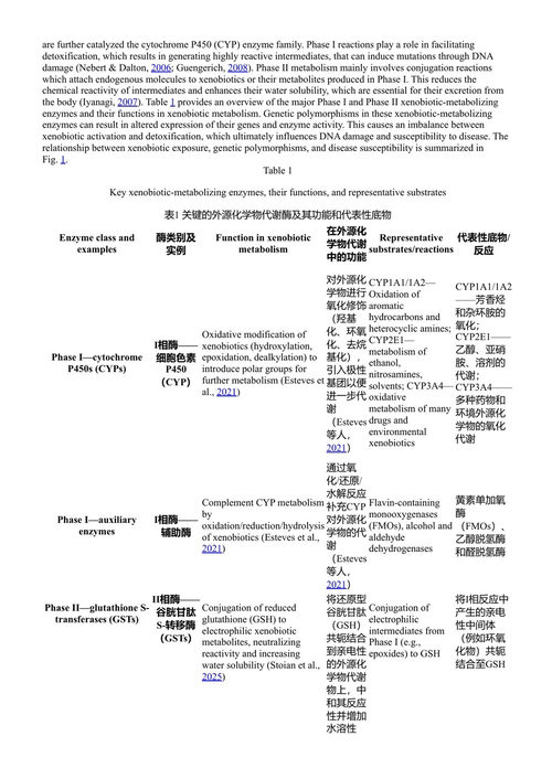 环境毒理学：外源物质与人类遗传物质的影响 卡努·普里亚、希夫·库马尔·吉里 编 (中英对照电子书)