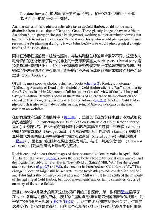 南北战争照片取证 斯科特·希彭斯蒂尔 (中英对照电子书)