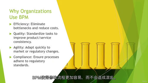 业务流程管理 —— 全面系统课程(中文字幕英文视频教程)