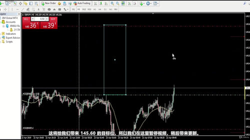 日内交易进阶策略:八大形态实战精解 (英文课程中文字幕)