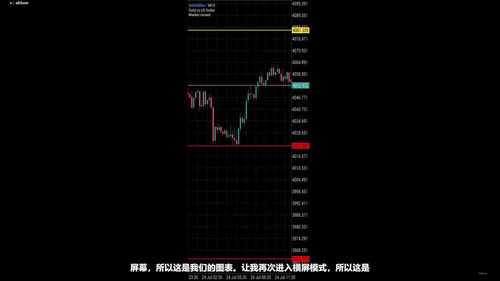 黄金策略交易课：四十四分钟掌握专业交易核心 (英文课程中文字幕)