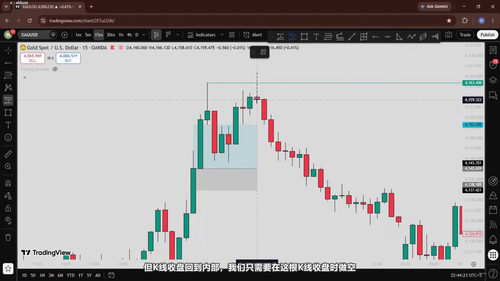 黄金策略交易课：四十四分钟掌握专业交易核心 (英文课程中文字幕)