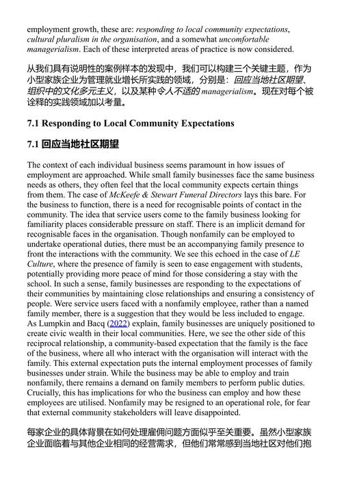 中小企业与初创企业的管理:挑战、机遇与影响力 亚历山德拉·莫里茨等 (中英对照电子书)