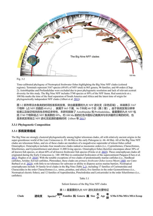 亚马逊鱼类生态学与进化：汇聚最多样化的大陆脊椎动物区系 詹姆斯·S·阿尔伯特、罗伯托·E·赖斯 (中英对照电子书)