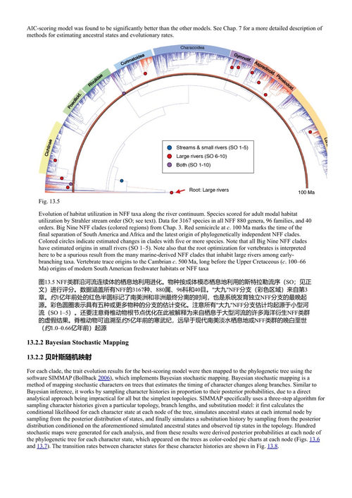 亚马逊鱼类生态学与进化：汇聚最多样化的大陆脊椎动物区系 詹姆斯·S·阿尔伯特、罗伯托·E·赖斯 (中英对照电子书)