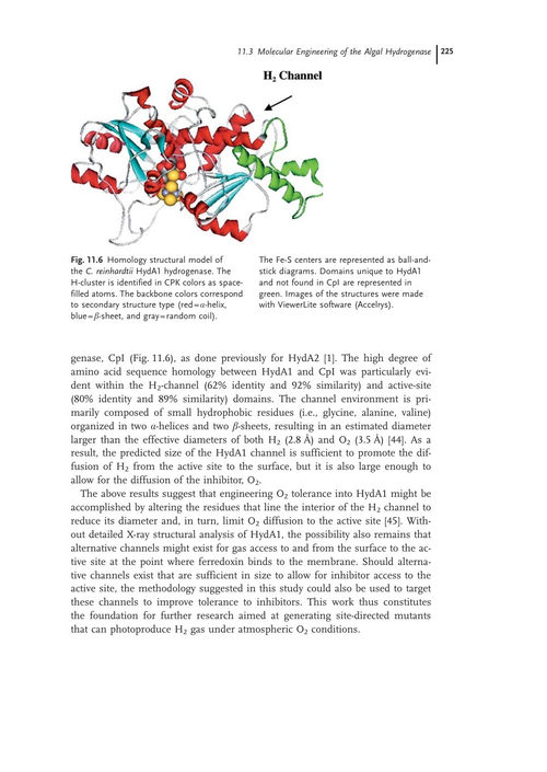 人工光合作用：从基础生物学到工业应用 (英文电子书)