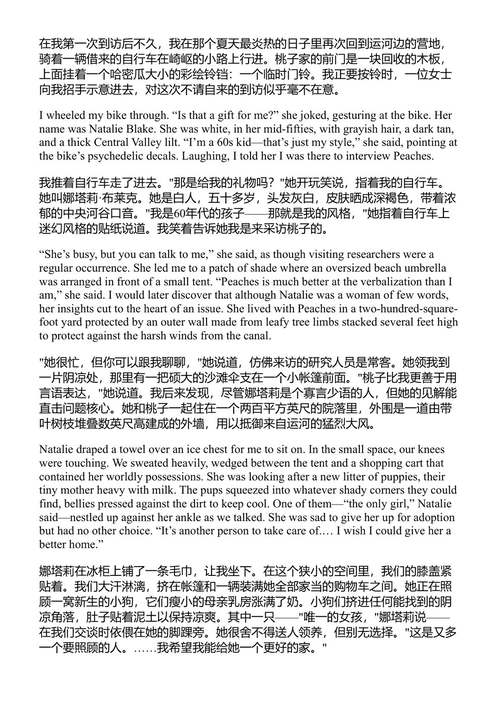 强制拆除 无家可归者营地与拆迁政治学 杰西·斯皮尔 (中英对照电子书)