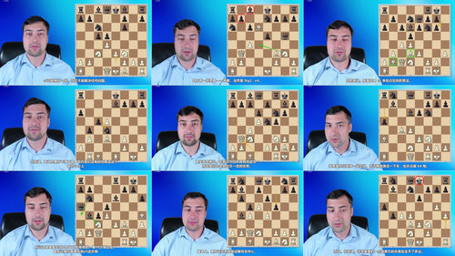 [中文配音]斯维尔茨的 1.d4 国际象棋开局教程（第二部分）