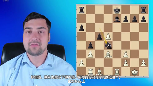 [中文配音]斯维尔茨的 1.d4 国际象棋开局教程（第二部分）