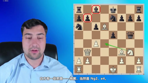 [中文配音]斯维尔茨的 1.d4 国际象棋开局教程（第二部分）