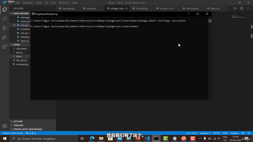 Django REST API实战课:从Python基础到四种认证方式全通关 (英文课程中文字幕)